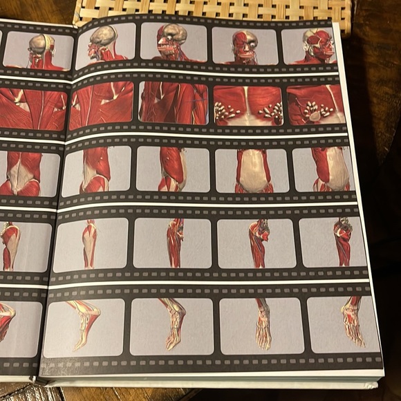 Anatomy 360 The Ultimate Visual Guide to the Human Body by Dr. Jamie Roebuck - Picture 2 of 6